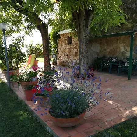 Casa In Collina Sienne