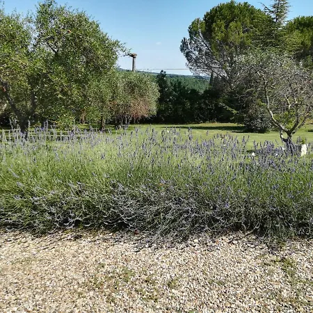 Casa In Collina Appartement Sienne